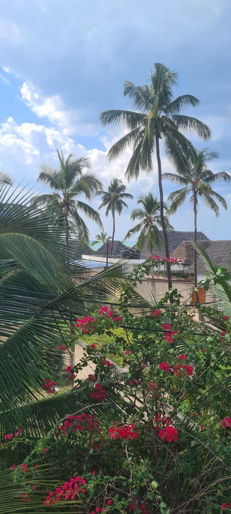 Mambo Boutique Nungwi Hotel Luaran gambar